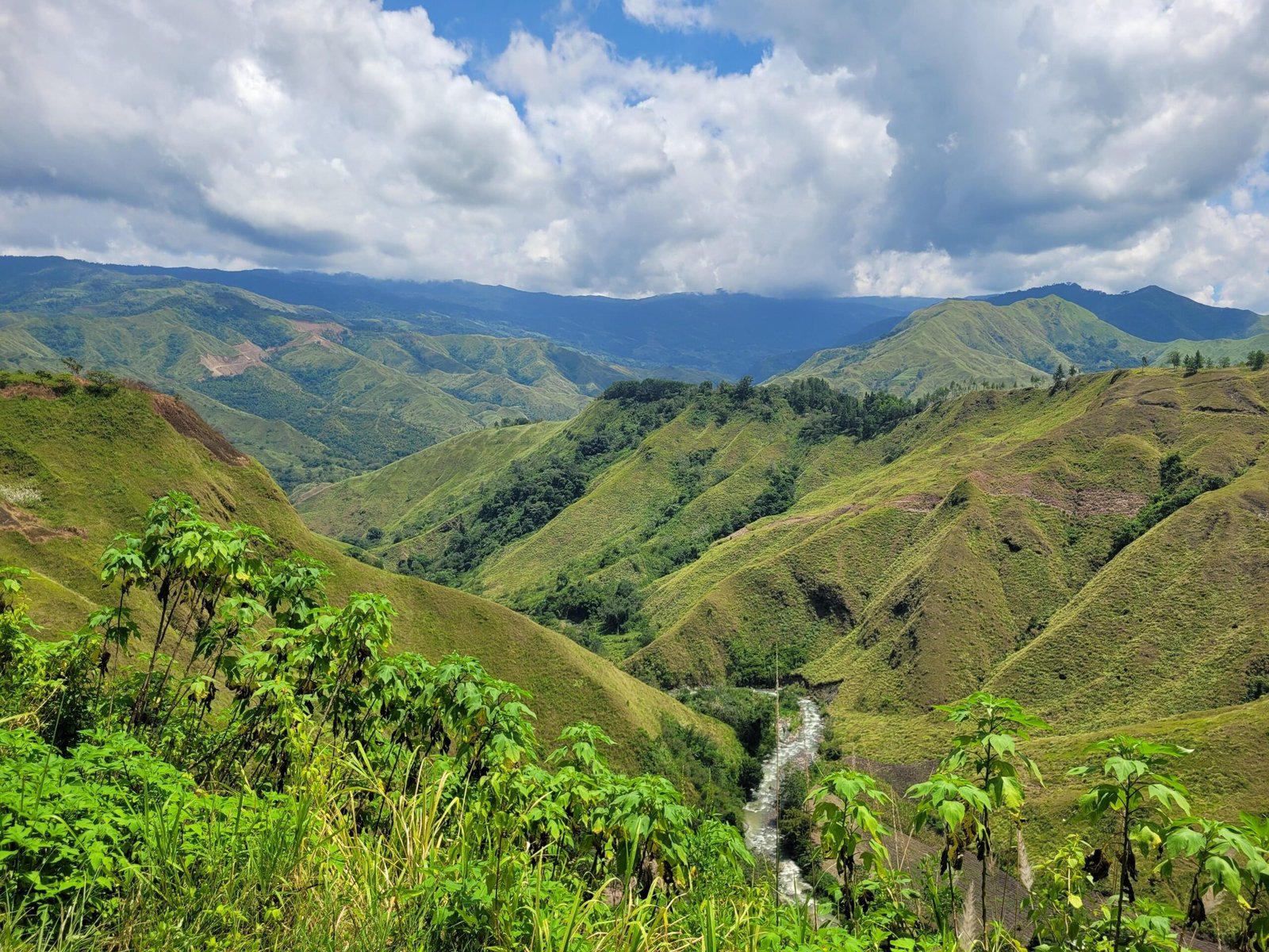 Hero Photo Phil Scaled